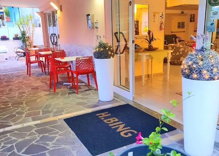 Hotel Bing