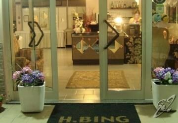 Bing Hotel